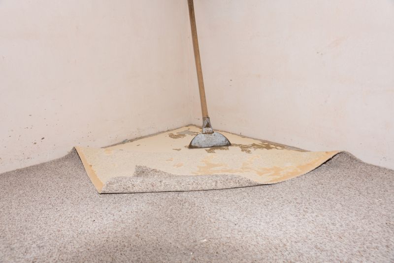 Basement Carpet Repair in Kansas City, KS