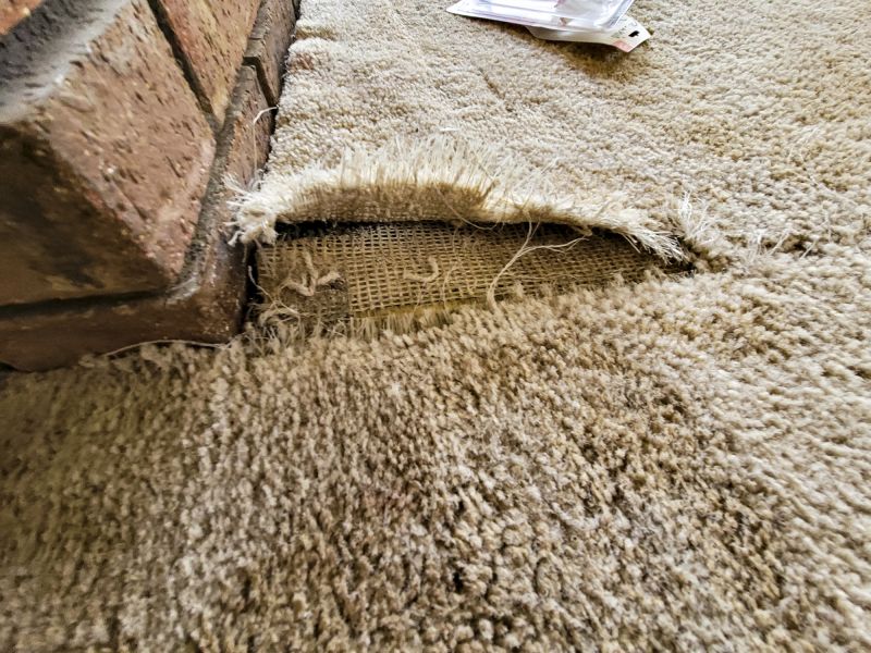 Residential Carpet Repair in Littleton, CO